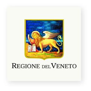 partner regione del veneto